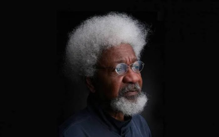 Wole Soyinka: It doesn’t matter if president, vice president are of same religion