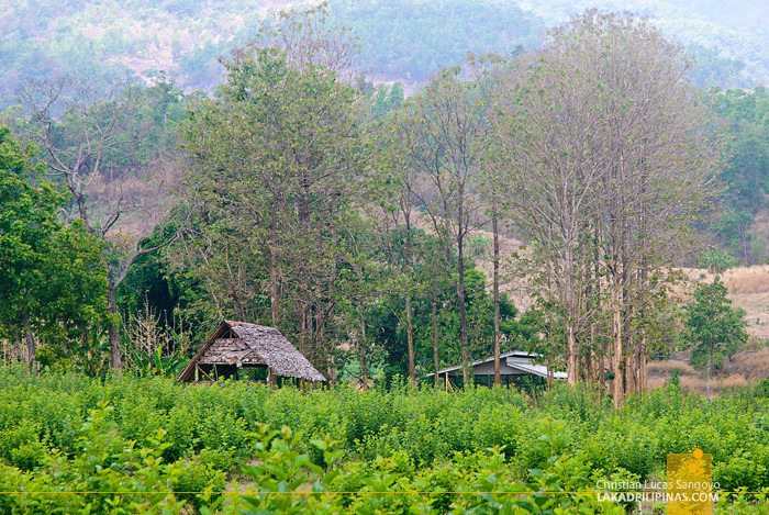 Scenic View to Chinese Village and Mo Paeng Waterfalls in Pai, Thailand