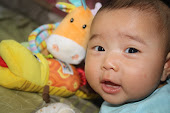 3 months