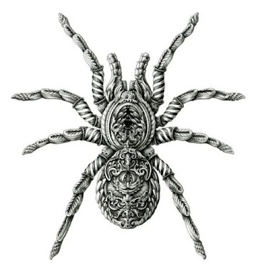 spider-tarantula-tattoo-design