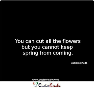 Pablo Neruda Life Quote