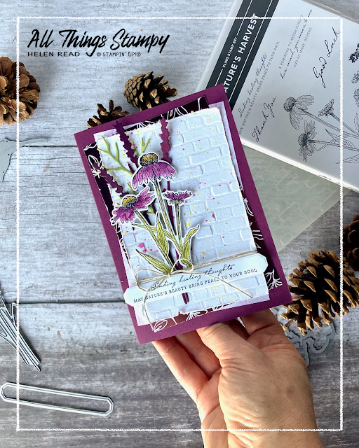 Nature's Harvest stampin up card ideas