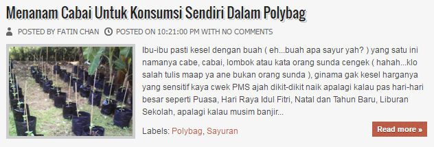  Cara Menanam Cabai Dalam Polybag