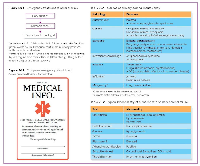 Adrenal Insufficiency