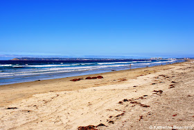 Silver Strand State Beach Coronado