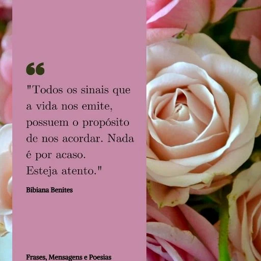 Todos os Sinais Que a Vida Nos Emite