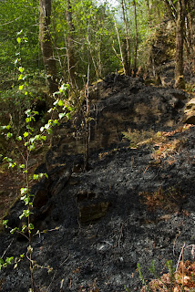 Montaña quemada