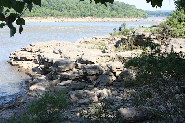 Fossil beds at Falls of the Ohio