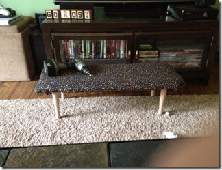 photo 1 (9)