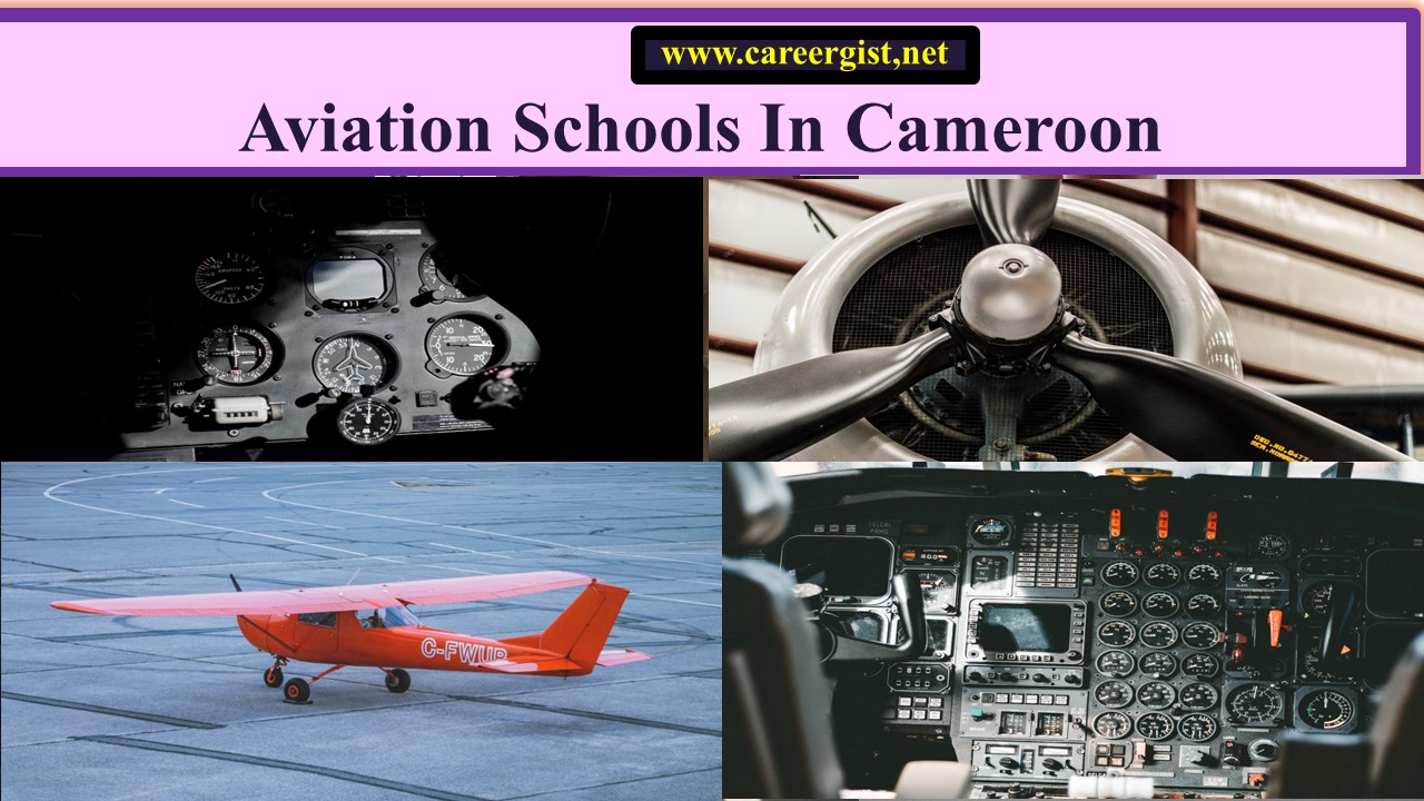 Aviation Schools in Cameroon