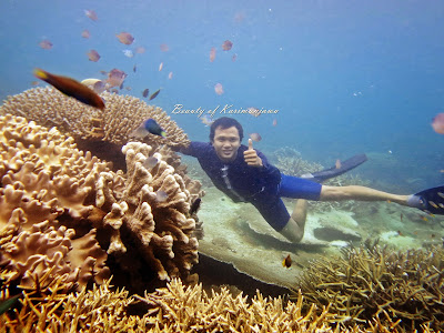 wisata air, karimunjawa, diving karimunjawa, menyelam karimunjawa, taman laut karimunjawa