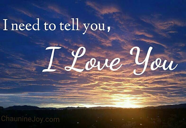 Chaunine Joy Landau - I Love You - Provo Utah Sunset