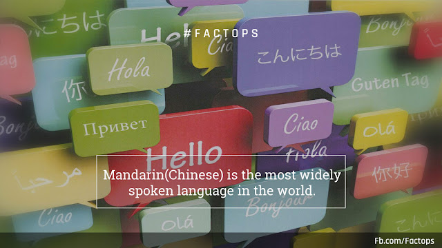 #Factops : "Mandarin is the most widely spoken language in the world"