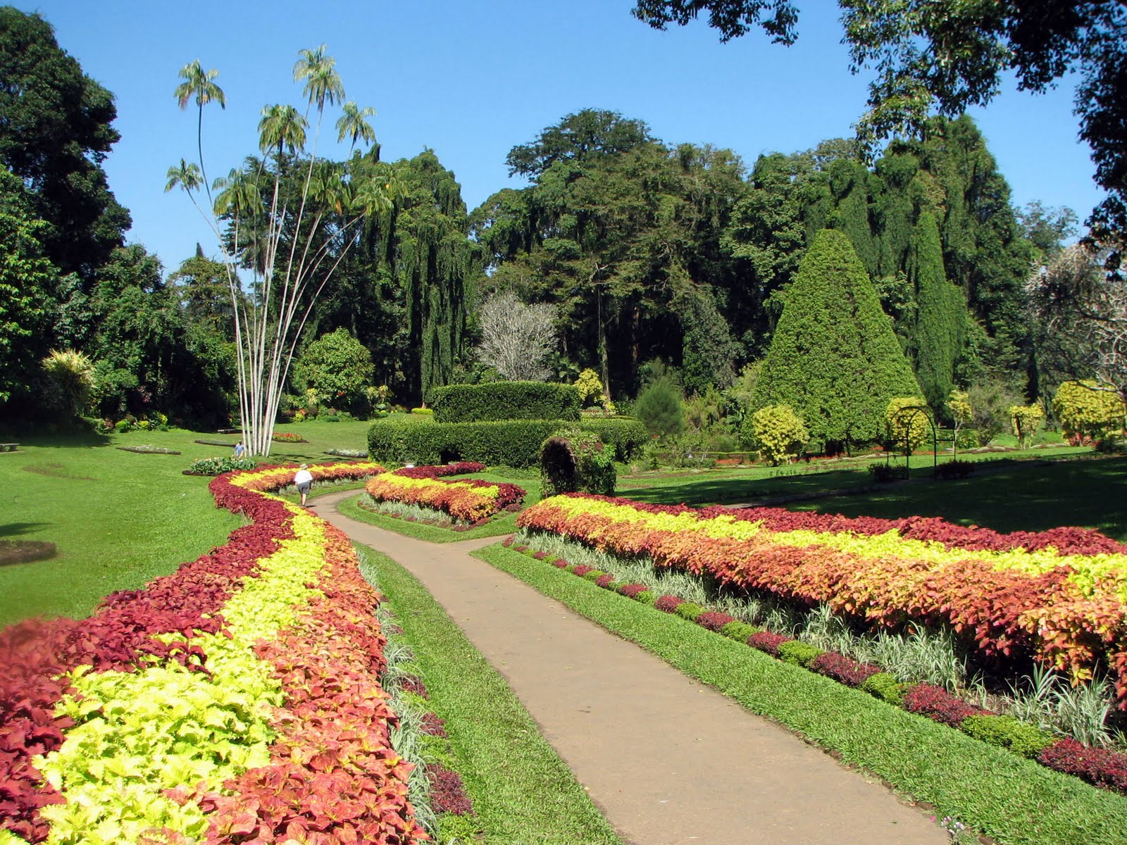 Botanical Gardens in Peradeniya Sri Lanka