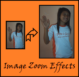 Image Zoom Effects,picture,image,Zoom Effects,cursor image