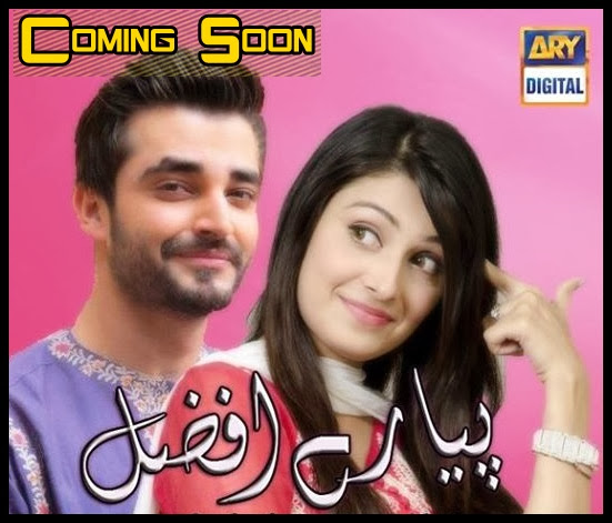 pyaray afzal on ary digital