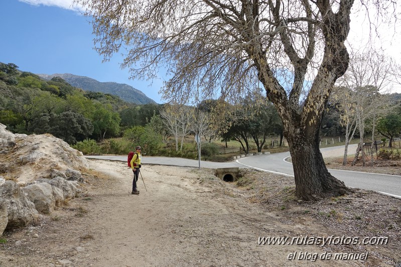 Sendero El Bosque - Benamahoma - Grazalema