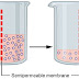 Osmosis: Definition, Types and Significance | Plant Physiology