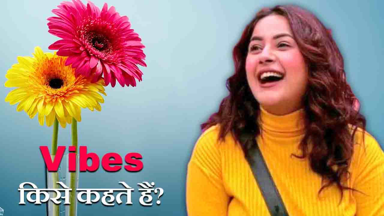 Feeling, vibes - anubhuti, positive vibes, negative vibes, good vibes, bad vibes, morning vibes, evening vibes, universal hindi facts, positive vibes meaning in hindi, negative vibes meaning in hindi, good vibes meaning in hindi, bad vibes meaning in hindi, morning vibes meaning in hindi, evening vibes meaning in hindi,