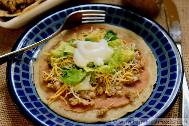 image of a plate of salsa verde pork tostada