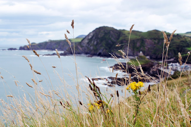 Ilfracombe, North Devon