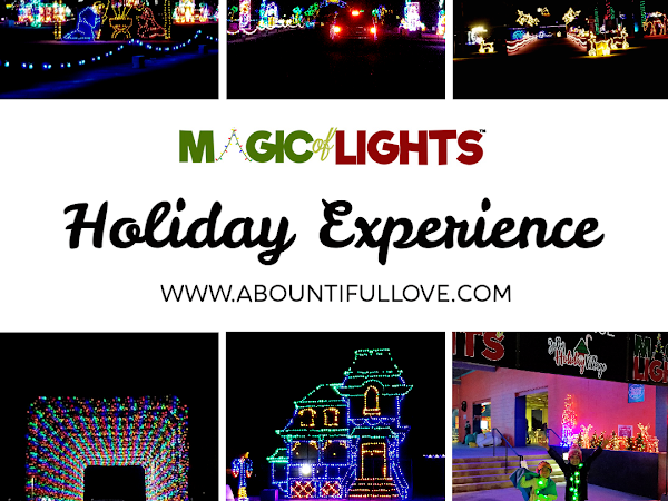 Magic of Lights- Holiday Experience