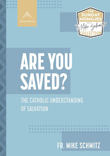 Are You Saved - Fr Mike Schmitz Homilies Collection