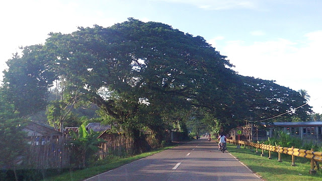 highway approaching Catarman Northern Samar town proper