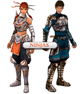ninjas in metin2 game
