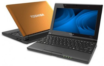 Toshiba NB550D-1003N