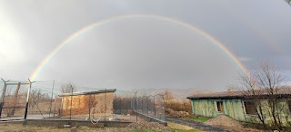 Very strong rainbow (and faint double)