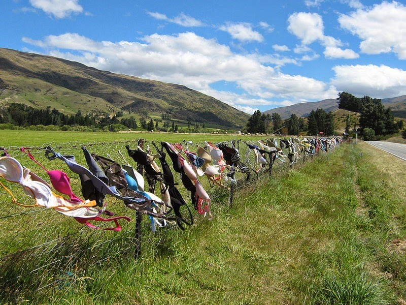 cardrona-bra-fence-7