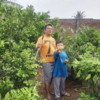 Menjaga Bumi dengan Tanam Pohon