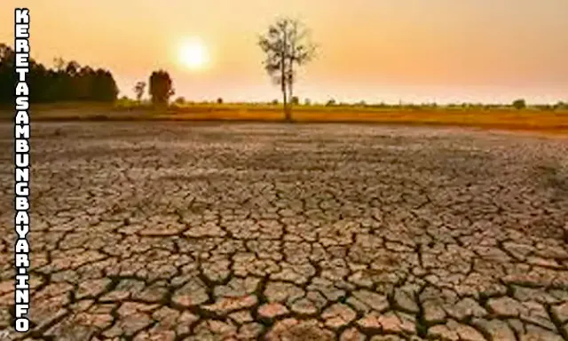 Unleashing Nature's Fury - The Impact of El Niño on the World