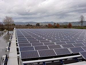 Investors Promise 150m On Alternative Energy In Ogun