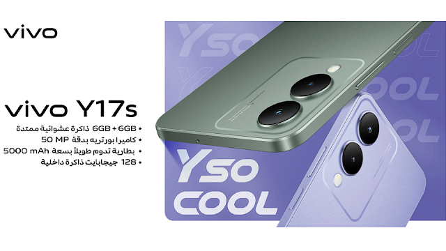 الوان-Vivo Y17s