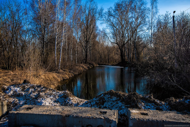 Водоем среди зарослей