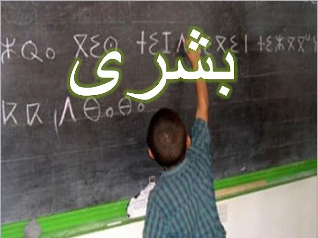 اعلان هام لاساتذة اللغة الامازيغية 