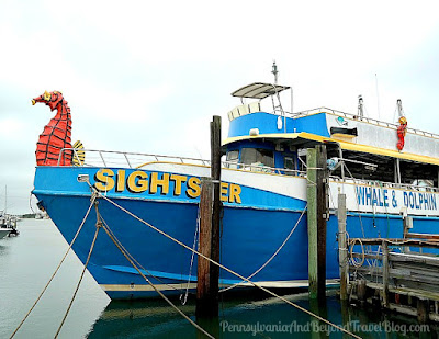 Sightseer Whale and Dolphin Cruises in Wildwood, New Jersey