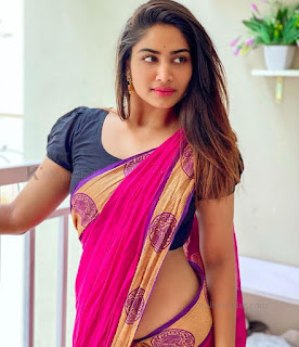 Bigg Boss Shivani Hot Saree Sexy