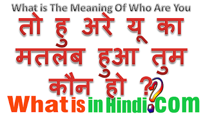 What is the meaning of Who are you in Hindi