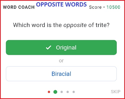 types of questions asked in the Google Word Coach- word coach opposite word quiz question