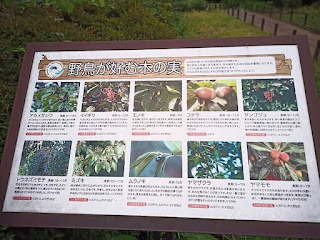 砧公園