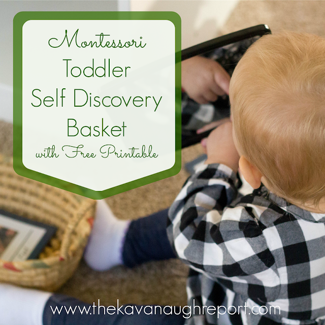 Biology for Montessori Toddlers -- Self Discovery Basket with Printable