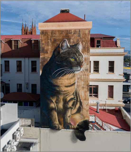 cat graffiti art