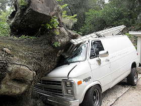 silversmith lane water oak falls on van