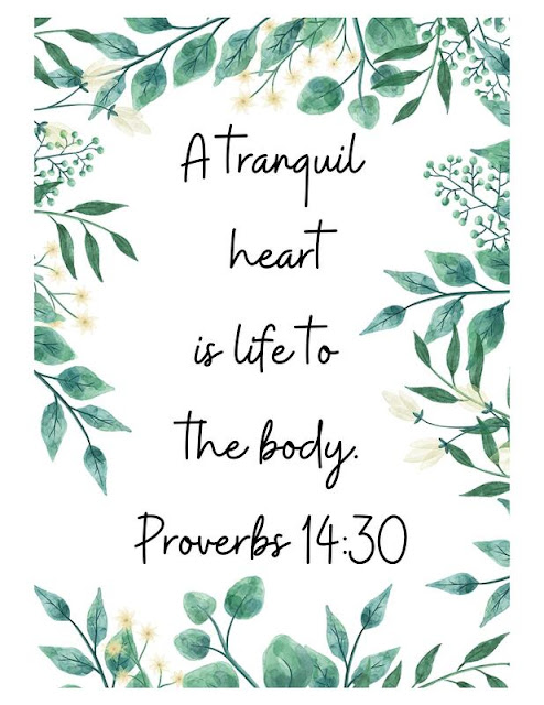 A Tranquil Heart is Life to the Body - Proverbs 14:30