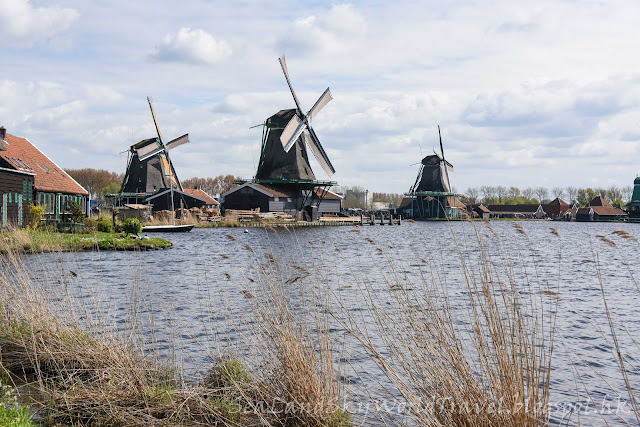 Zaanse Schans, 風車村, 荷蘭, holland, netherlands