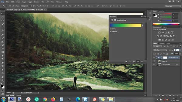 Check Reverse, set the opacity and change the blend mode to color burn.