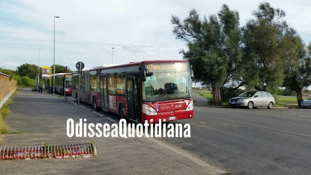 Linee mare: riattivati (parzialmente) i bus Atac per le spiagge di Ostia